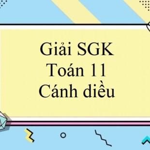Câu hỏi khởi động trang 101 Toán 11 Tập 1 Cánh diều | Giải bài tập Toán lớp 11