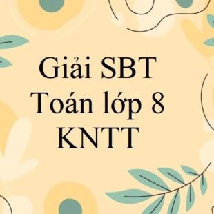 Tìm Câu Sai Trong Các Câu Sau: A. Hình Chữ Nhật Có Hai Cạnh Kề Bằng Nhau Là Hình  Vuông