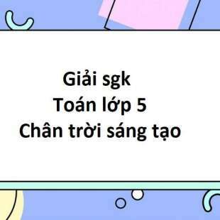 Điểm số môn Tiếng Việt của Y Moan là 8,25. Làm tròn số này đến hàng đơn vị thì điểm số môn Tiếng Việt của Y Moan là: 8; 8,2; 8,3; 10