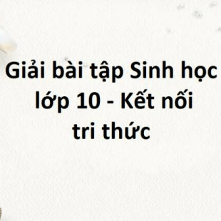 Giải SGK Sinh học 10 Bài 12 (Kết nối tri thức): Truyền tin tế bào