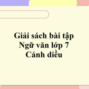 Tổng quan văn bản thông tin là gì lớp 6 để hiểu đầy đủ