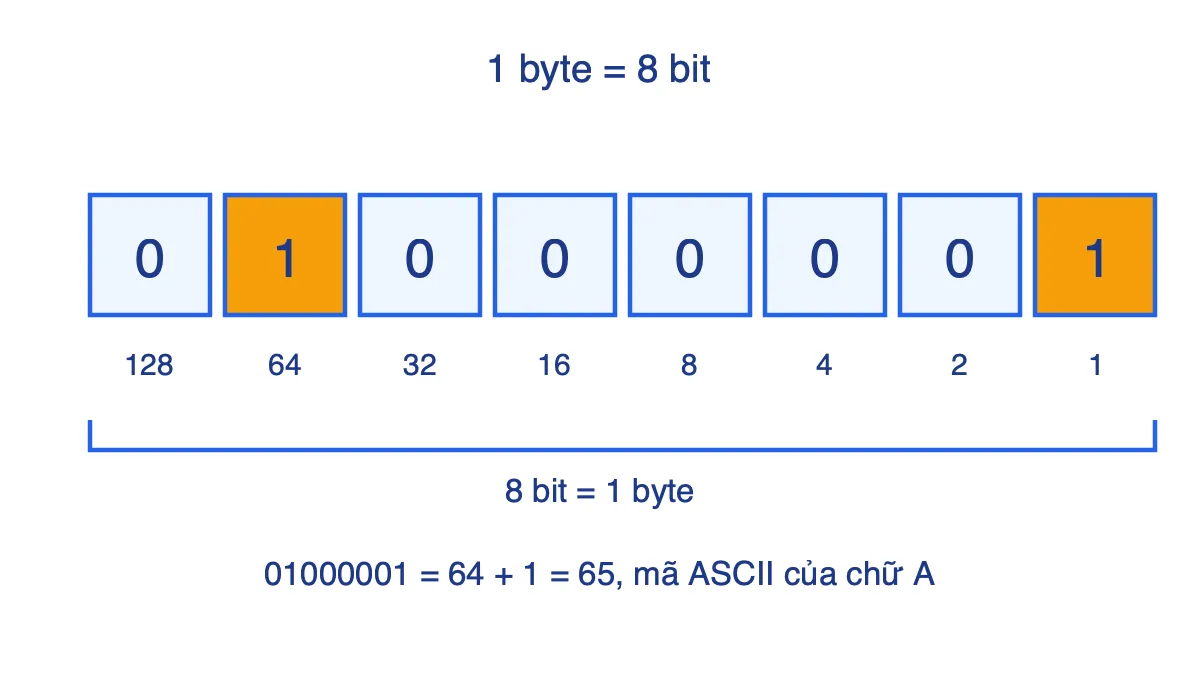 Sơ đồ 8 ô bit tạo thành 1 byte với trọng số từ 128 đến 1, dãy 01000001 bằng 65