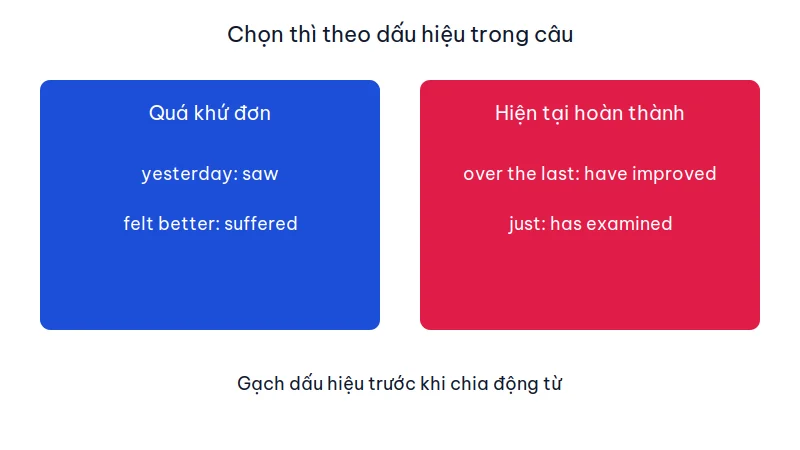 Hai cột thì: quá khứ đơn với saw và suffered, hiện tại hoàn thành với have improved và has examined