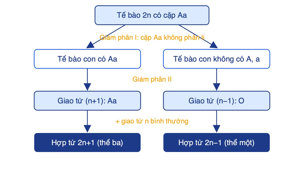 Sơ đồ không phân li cặp NST Aa ở giảm phân I tạo giao tử n+1 và n−1, kết hợp giao tử bình thường cho thể ba và thể một
