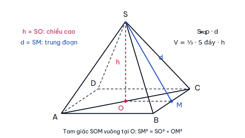 Hình chóp tứ giác đều S.ABCD với chiều cao SO vuông góc với đáy tại tâm O và trung đoạn SM nối đỉnh với trung điểm M của cạnh BC