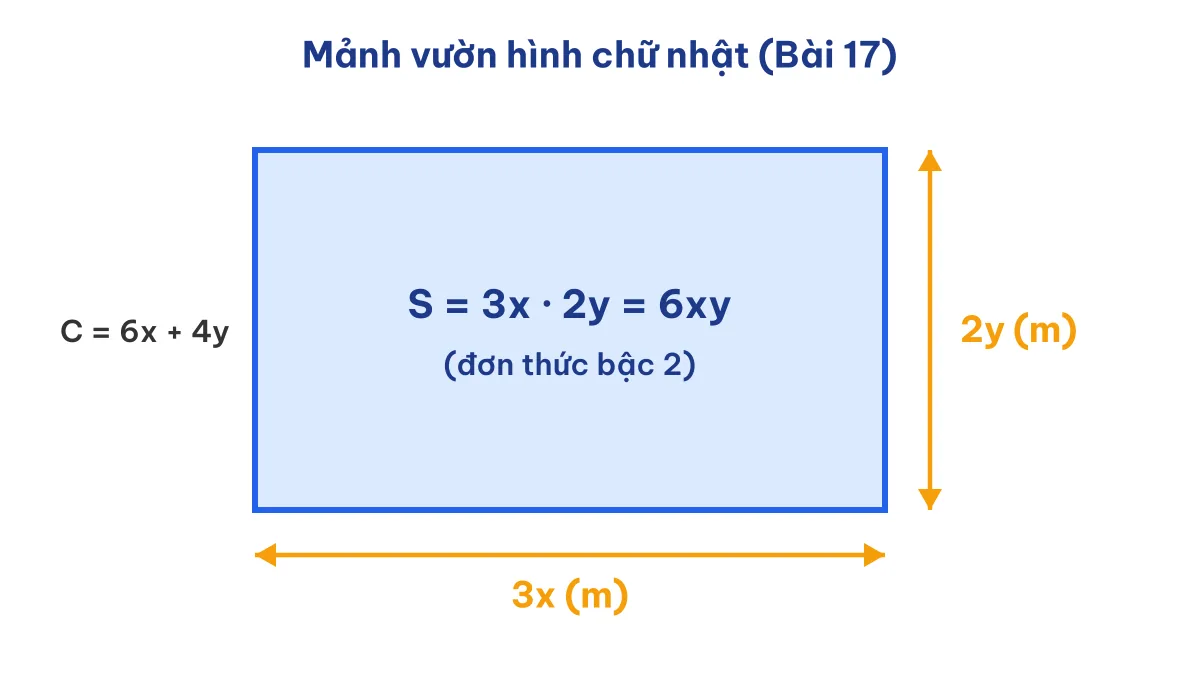 Hình chữ nhật minh họa bài tập đơn thức nhiều biến về diện tích và chu vi