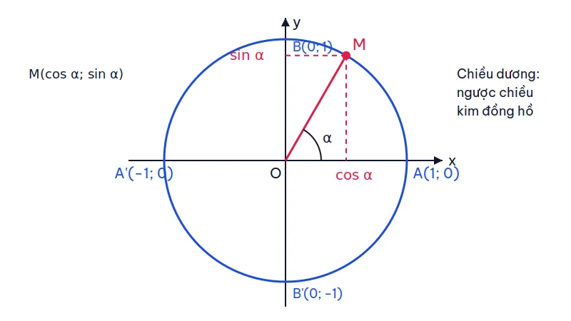 Đường tròn lượng giác tâm O bán kính 1, điểm M biểu diễn góc alpha có hoành độ cos alpha và tung độ sin alpha