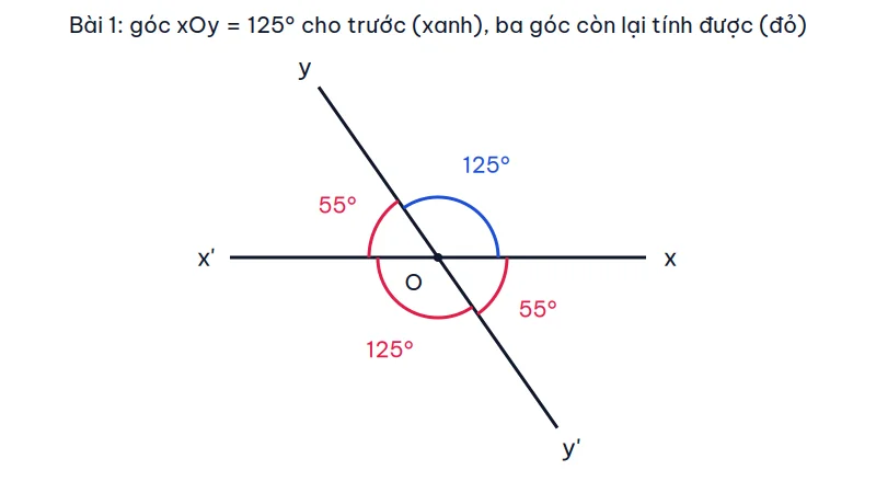 Hai đường thẳng xx' và yy' cắt nhau tại O tạo bốn góc 125°, 55°, 125°, 55°