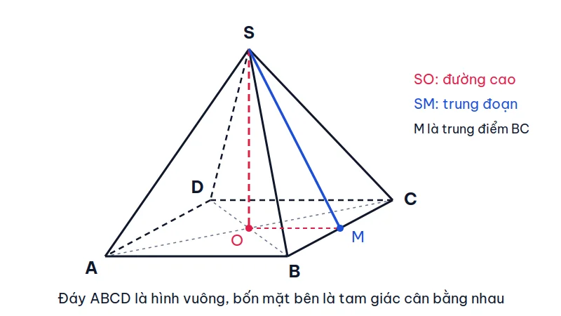 Hình chóp tứ giác đều S.ABCD với đáy hình vuông ABCD, đường cao SO từ đỉnh S xuống tâm O của đáy và trung đoạn SM nối S với trung điểm M của cạnh BC