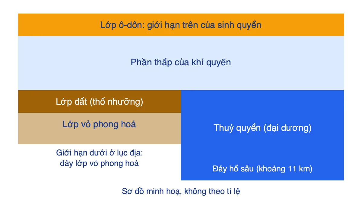 Sơ đồ giới hạn của sinh quyển: trên là lớp ô-dôn, dưới là đáy vỏ phong hoá và đáy hố sâu đại dương