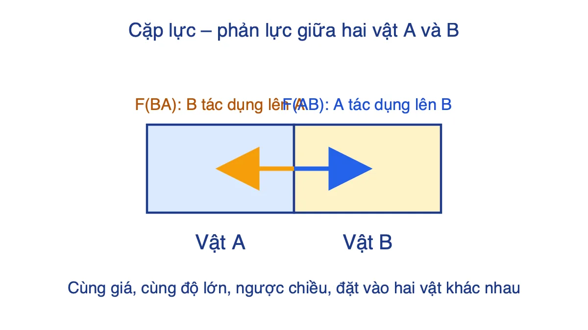 Hai vật A và B tiếp xúc, hai vectơ lực bằng nhau và ngược chiều đặt vào hai vật