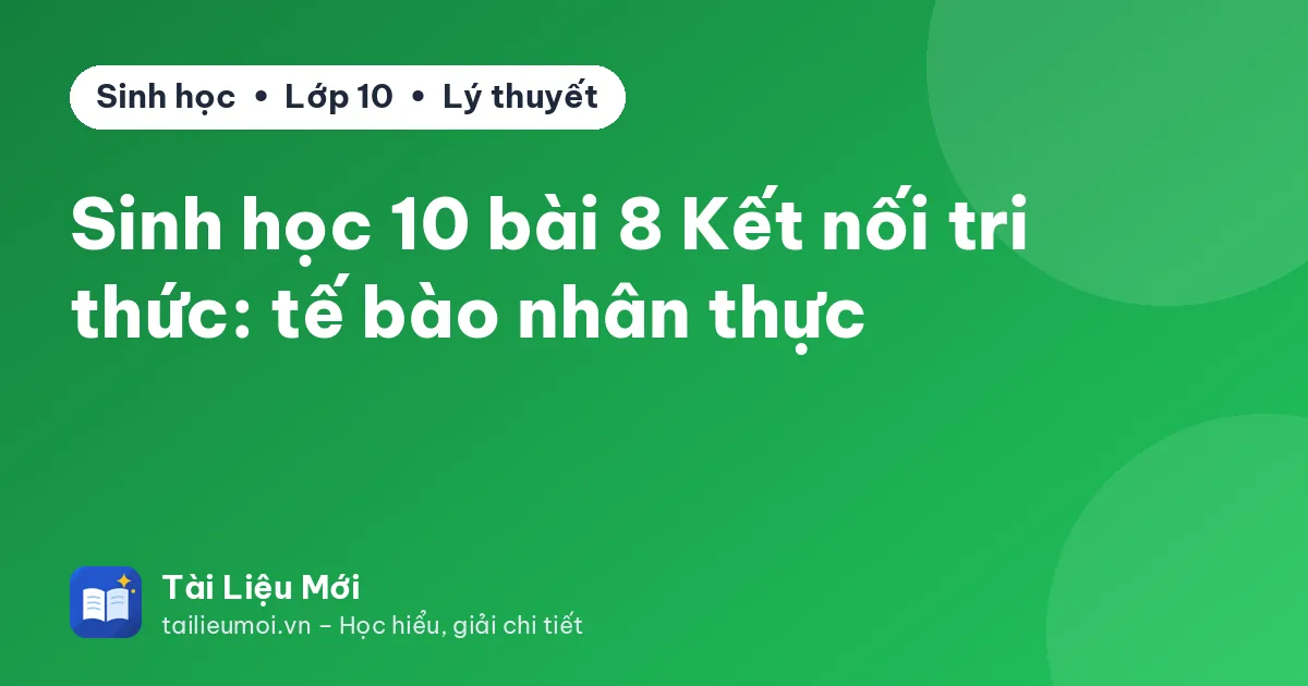 Sinh học 10 bài 8 Kết nối tri thức: tế bào nhân thực