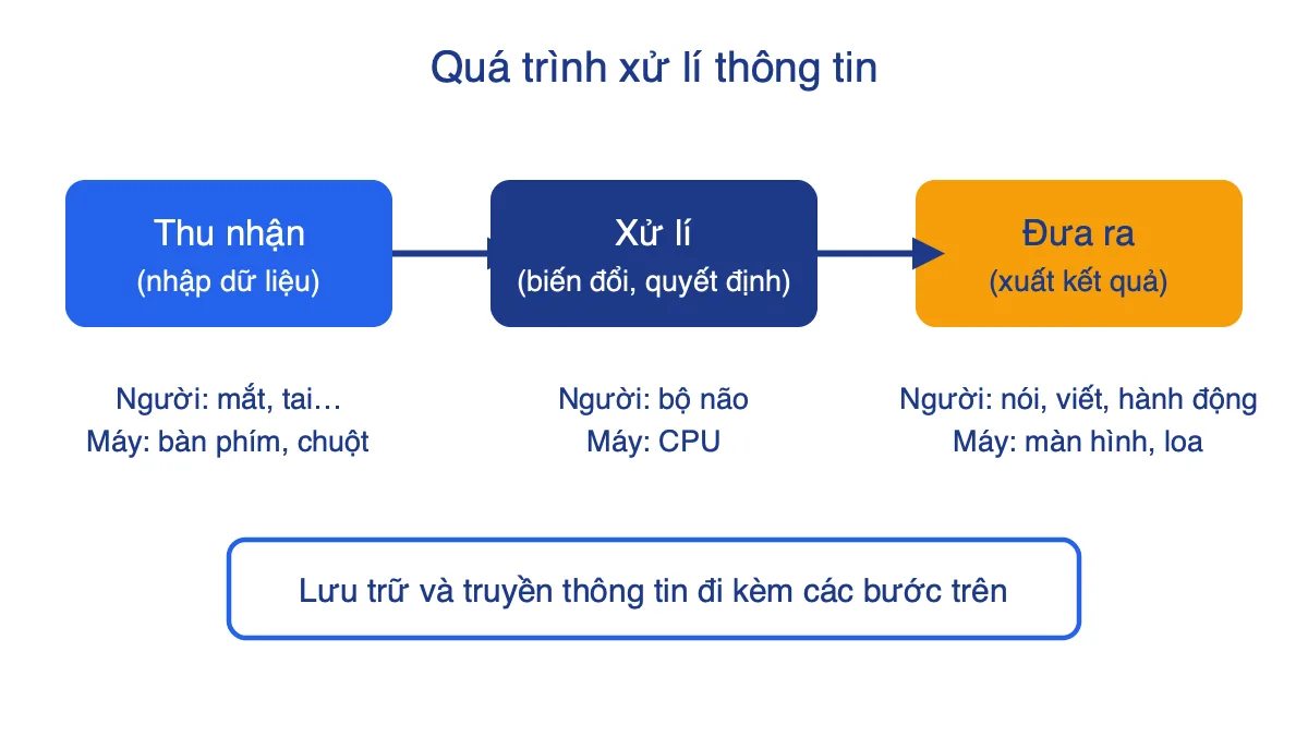 Sơ đồ ba bước xử lí thông tin: thu nhận, xử lí, đưa ra, kèm ví dụ ở người và máy tính