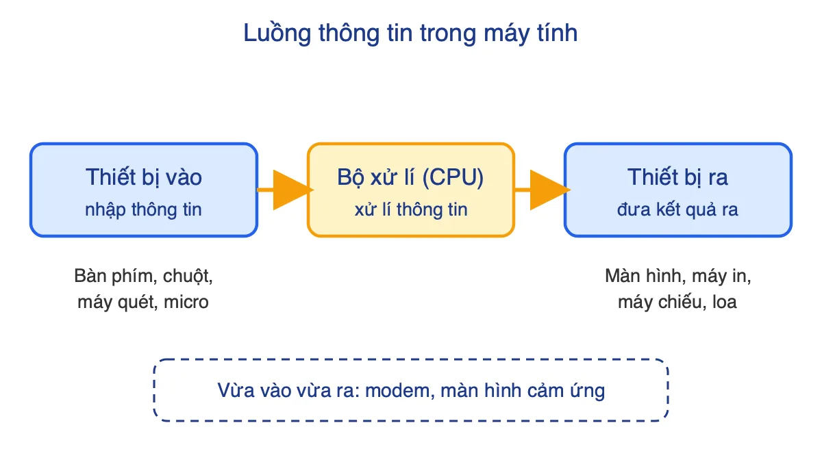 Sơ đồ luồng thông tin: thiết bị vào, CPU xử lí, thiết bị ra, kèm ví dụ từng loại
