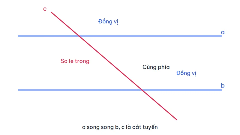 Hai đường thẳng song song a, b bị cát tuyến c cắt, có cặp góc đồng vị, so le trong và trong cùng phía