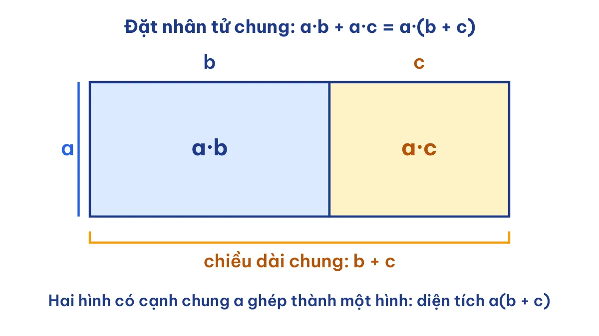 Mô hình diện tích minh hoạ phân tích đa thức thành nhân tử bằng đặt nhân tử chung