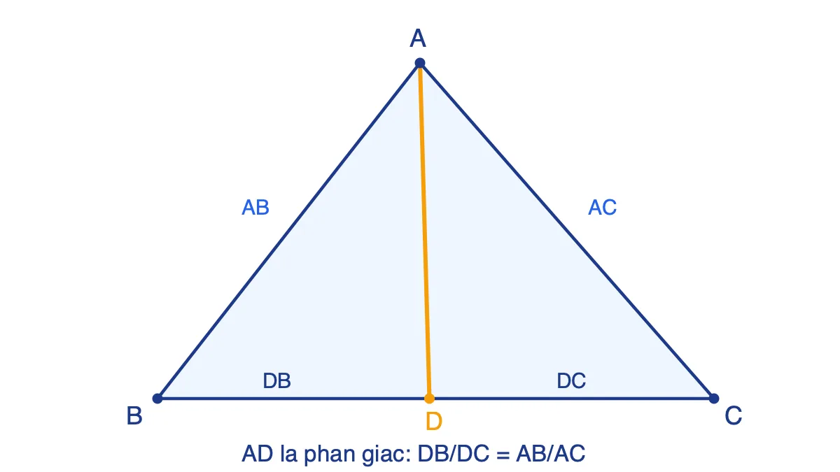 Tam giác ABC có đường phân giác AD cắt BC tại D, minh hoạ tỉ lệ DB/DC = AB/AC