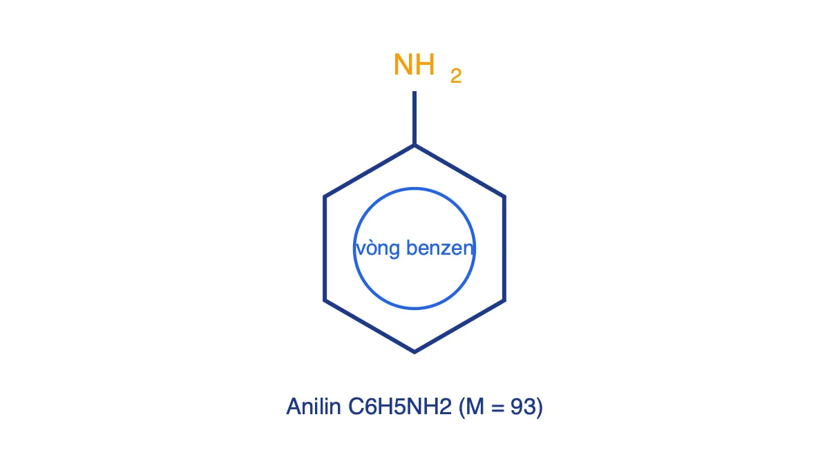 Công thức cấu tạo của anilin: vòng benzen gắn nhóm NH2