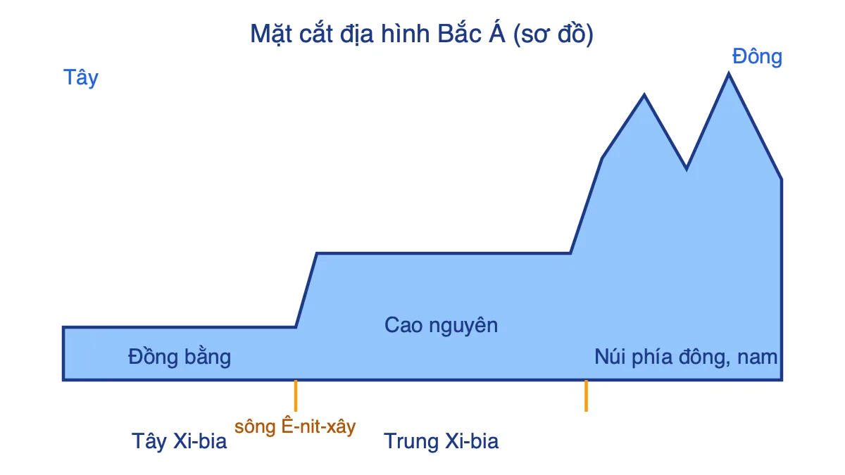 Sơ đồ mặt cắt địa hình Bắc Á từ tây sang đông: đồng bằng, cao nguyên, núi
