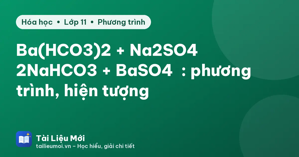 Ba(HCO3)2 + Na2SO4 → 2NaHCO3 + BaSO4↓: phương trình, hiện tượng