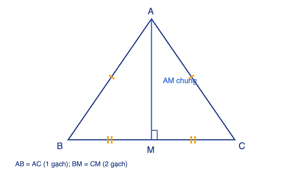 Tam giác cân ABC có AB = AC, M là trung điểm BC, đoạn AM chia tam giác thành hai tam giác bằng nhau