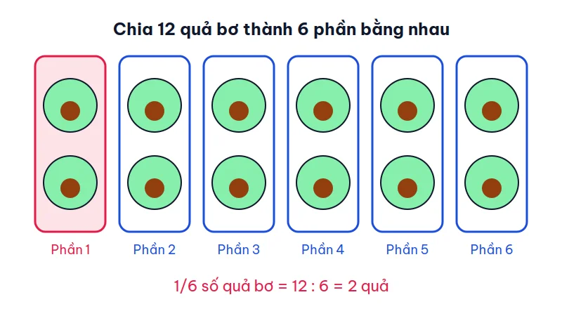 Hình 12 quả bơ chia thành 6 nhóm, mỗi nhóm 2 quả, nhóm thứ nhất được tô màu đỏ để chỉ 1/6 số quả bơ