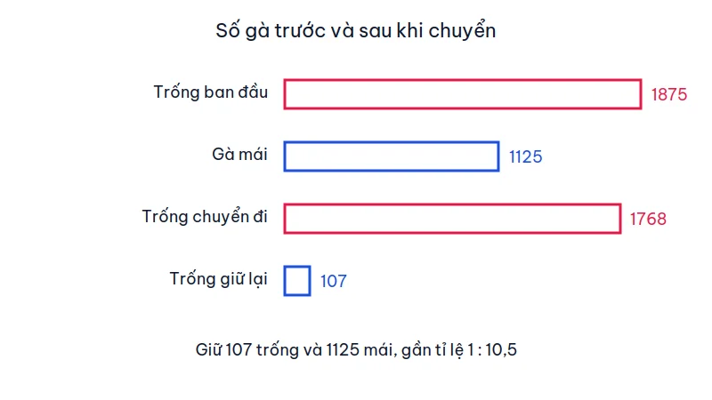 Biểu đồ số gà trống ban đầu 1875, gà mái 1125, số trống chuyển đi 1768 và số trống giữ lại 107