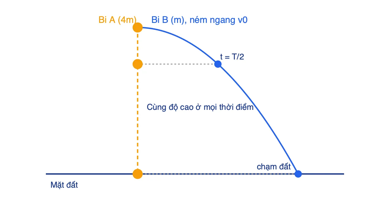 Quỹ đạo bi A rơi thẳng đứng và bi B ném ngang, luôn cùng độ cao tại mỗi thời điểm
