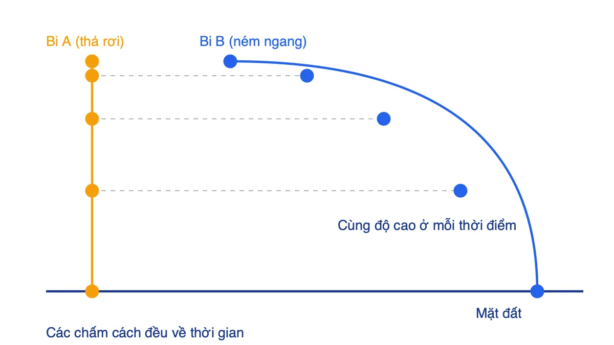 Sơ đồ so sánh bi A thả rơi thẳng đứng và bi B ném ngang chuyển động theo parabol, luôn ở cùng độ cao tại mỗi thời điểm