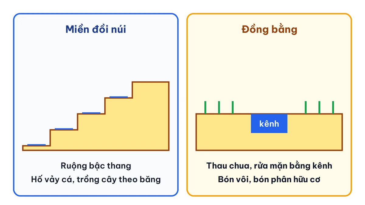 So sánh biện pháp cải tạo đất nông nghiệp ở đồng bằng với biện pháp chống xói mòn ở miền đồi núi