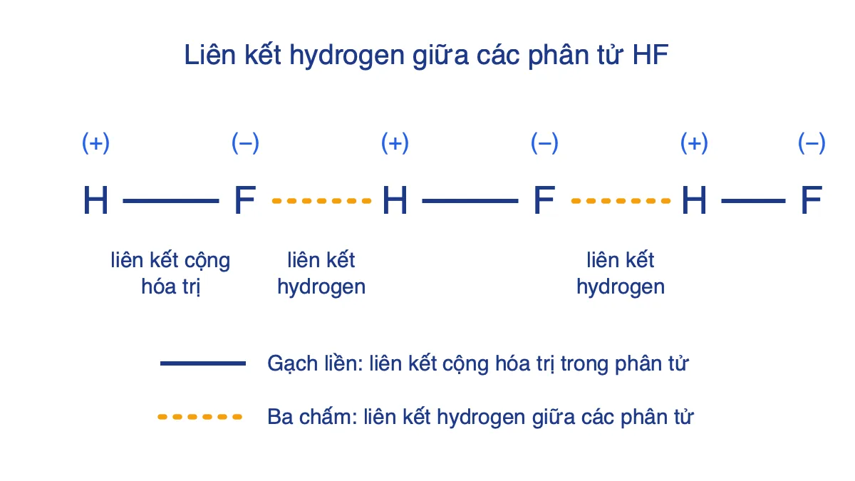 Sơ đồ ba phân tử HF nối tiếp nhau, gạch liền là liên kết H–F, nét chấm là liên kết hydrogen F···H