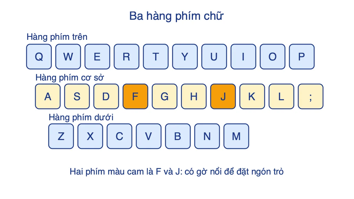 Ba hàng phím chữ: hàng trên, hàng cơ sở và hàng dưới, phím F và J có gờ nổi