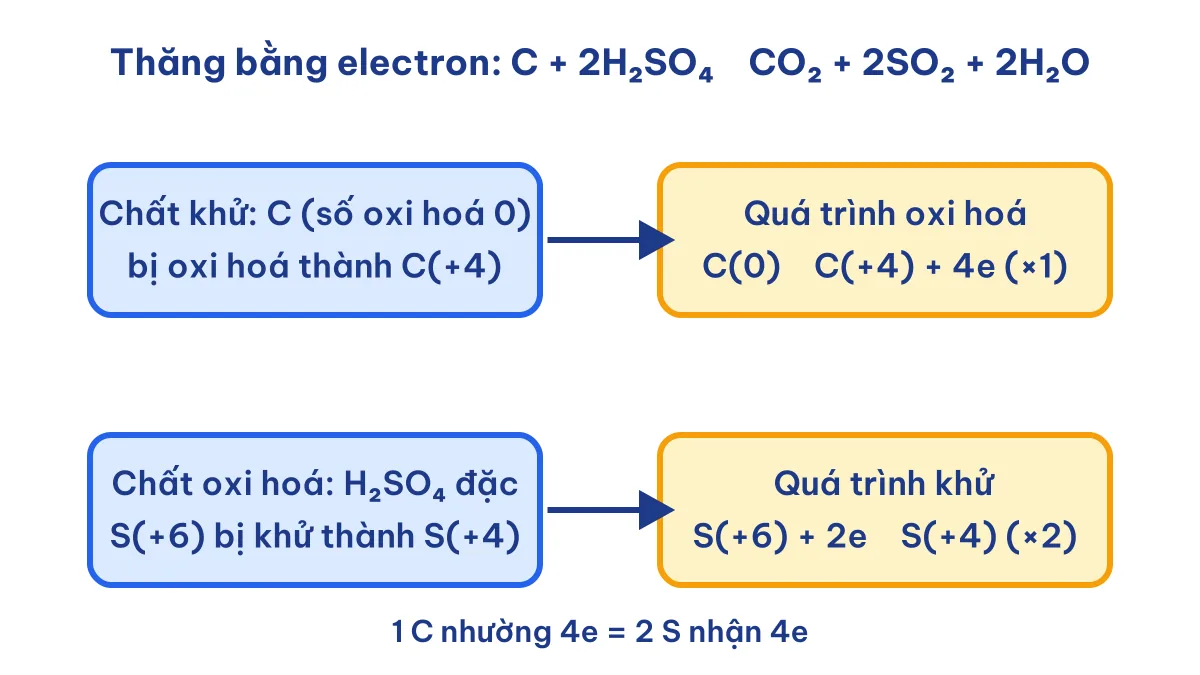 Sơ đồ thăng bằng electron của phản ứng C tác dụng với H2SO4 đặc
