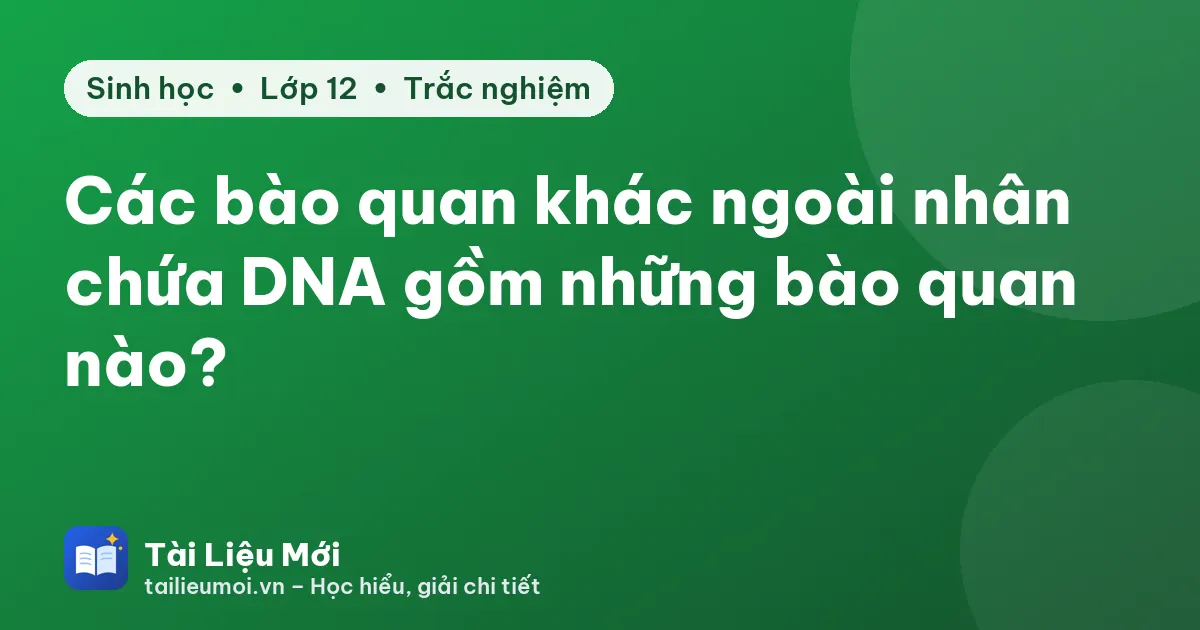 Các bào quan khác ngoài nhân chứa DNA gồm những bào quan nào?