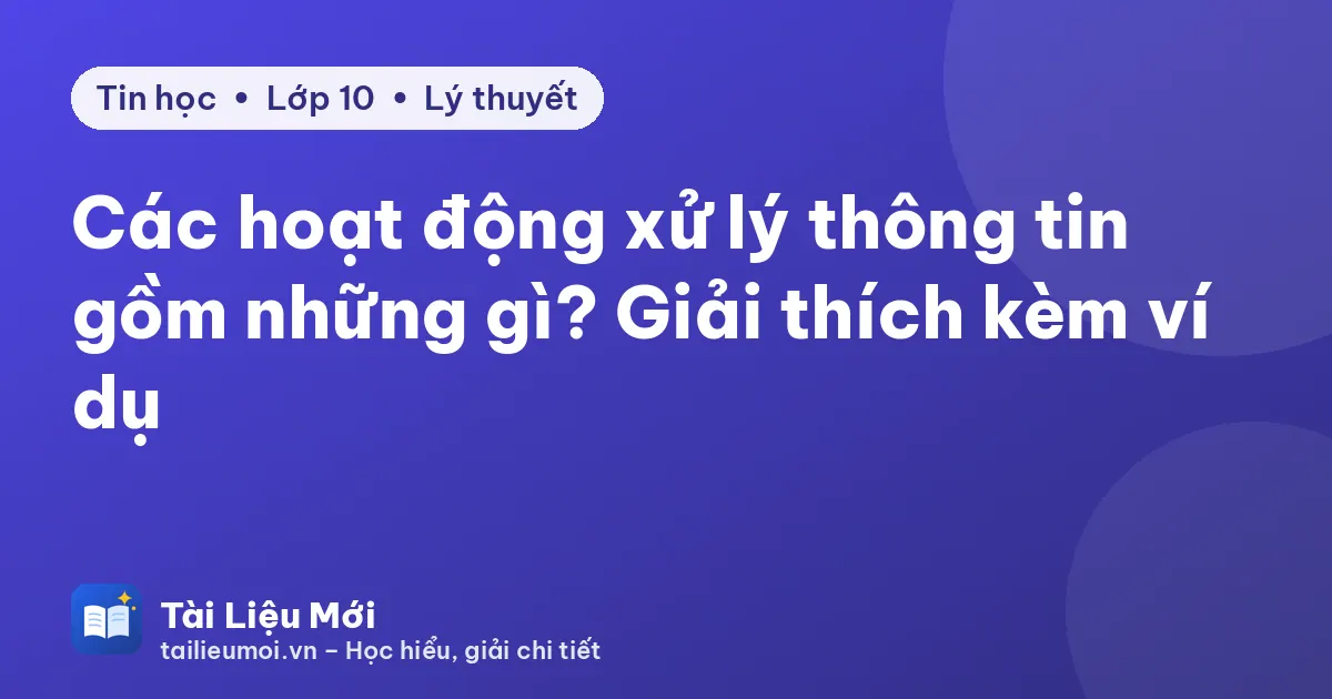 Các hoạt động xử lý thông tin gồm những gì? Giải thích kèm ví dụ