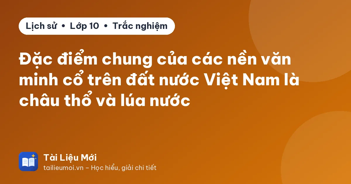 Đặc điểm chung của các nền văn minh cổ trên đất nước Việt Nam là châu thổ và lúa nước