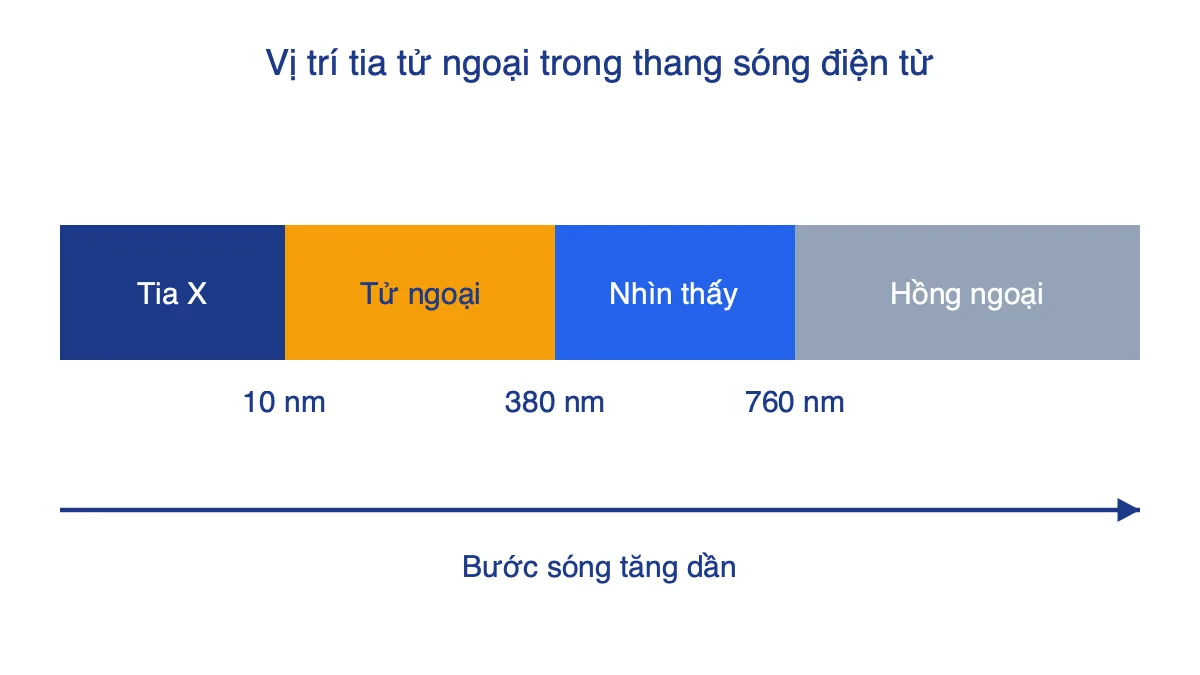 Thang sóng điện từ gồm tia X, tia tử ngoại, ánh sáng nhìn thấy và tia hồng ngoại theo bước sóng tăng dần