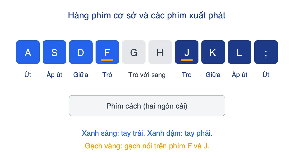 Hàng phím cơ sở với tám phím xuất phát A S D F J K L và dấu chấm phẩy, đánh dấu gạch nổi trên F và J