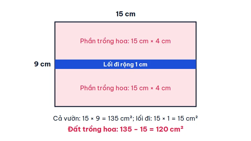 Hình chữ nhật dài 15 cm, rộng 9 cm, có lối đi màu xanh rộng 1 cm chạy dọc ở giữa, chia vườn thành hai luống hoa mỗi luống 15 cm × 4 cm