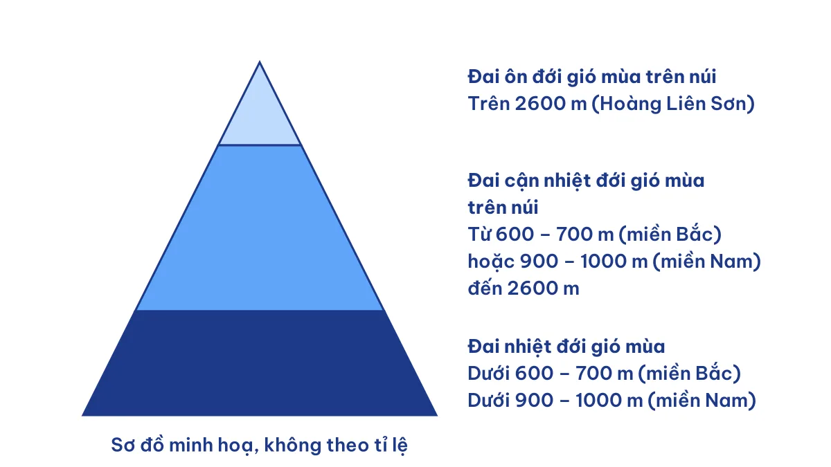 Sơ đồ ba đai cao ở Việt Nam: đai nhiệt đới gió mùa, cận nhiệt đới gió mùa trên núi và ôn đới gió mùa trên núi