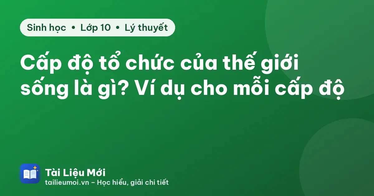 Cấp độ tổ chức của thế giới sống là gì? Ví dụ cho mỗi cấp độ