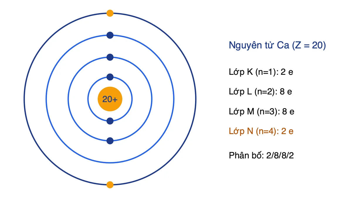 Sơ đồ các lớp electron của nguyên tử canxi với 2, 8, 8, 2 electron