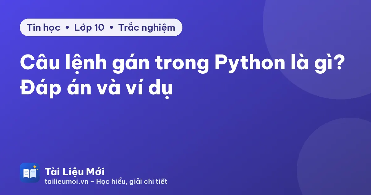 Câu lệnh gán trong Python là gì? Đáp án và ví dụ