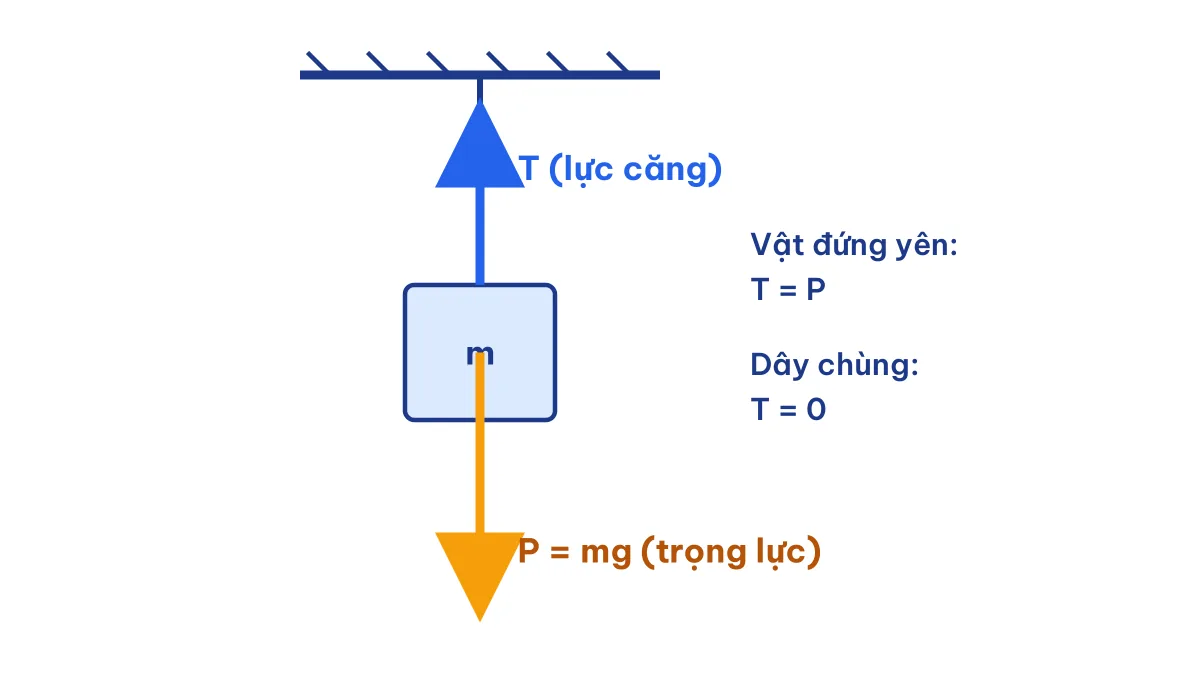 Sơ đồ lực căng dây và trọng lực tác dụng lên vật treo