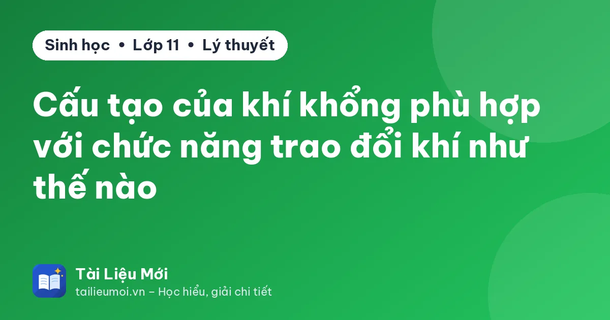 Cấu tạo của khí khổng phù hợp với chức năng trao đổi khí như thế nào