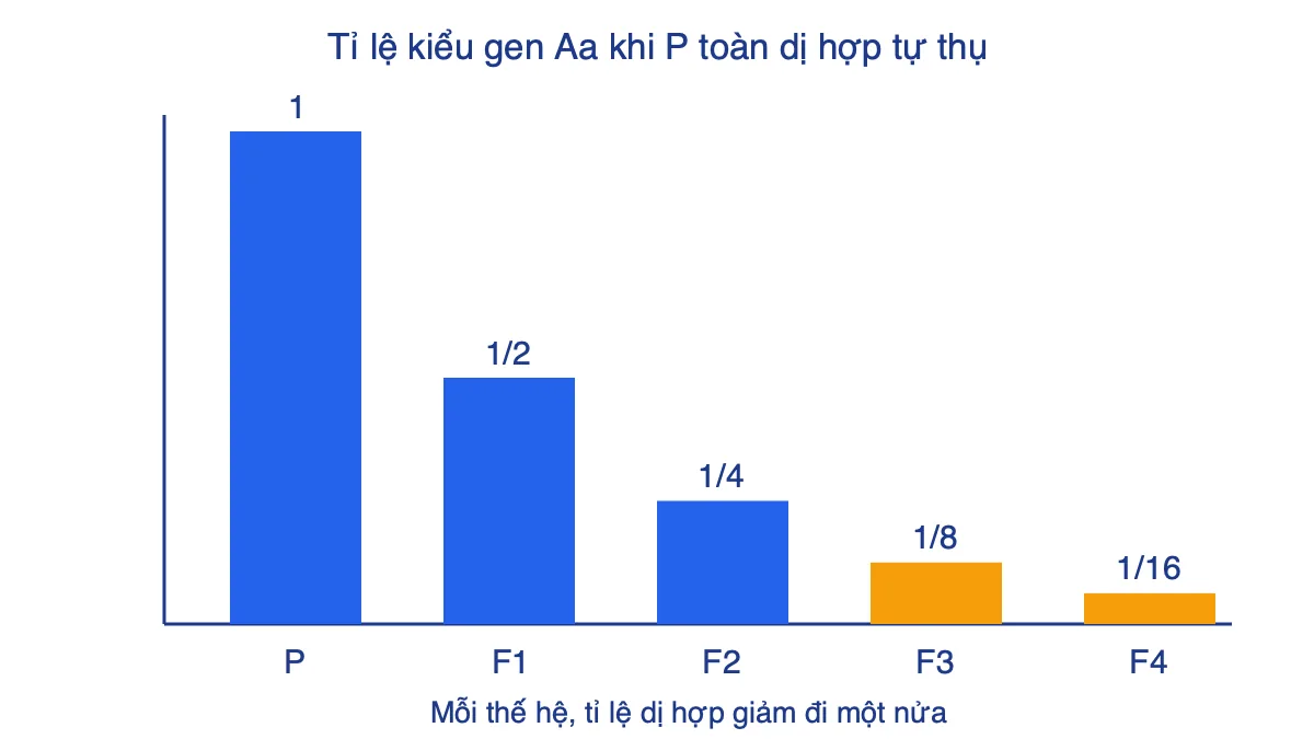 Biểu đồ cột tỉ lệ kiểu gen Aa giảm dần 1, 1/2, 1/4, 1/8, 1/16 qua các thế hệ tự thụ từ P đến F4