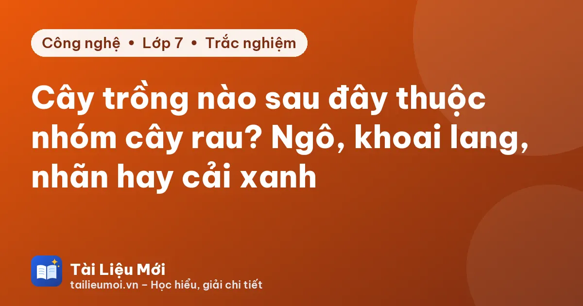 Cây trồng nào sau đây thuộc nhóm cây rau? Ngô, khoai lang, nhãn hay cải xanh