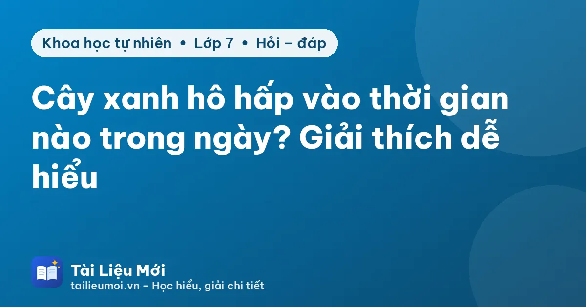 Cây xanh hô hấp vào thời gian nào trong ngày? Giải thích dễ hiểu
