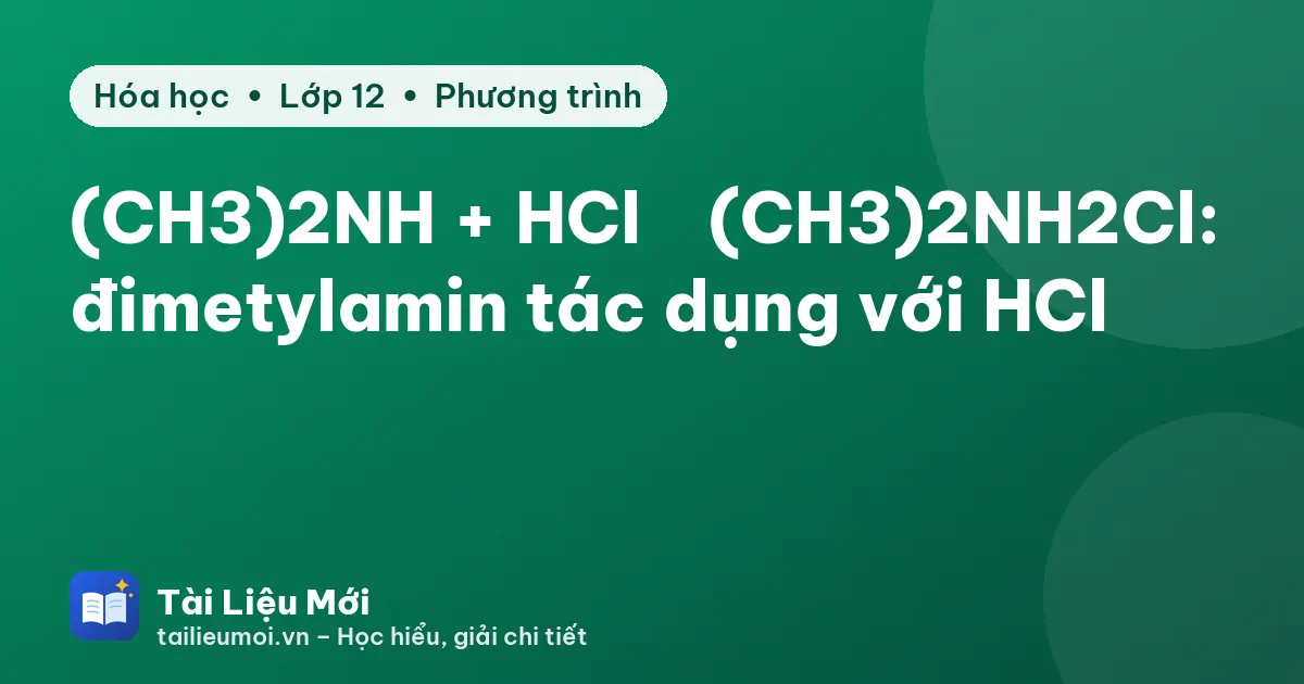 (CH3)2NH + HCl → (CH3)2NH2Cl: đimetylamin tác dụng với HCl