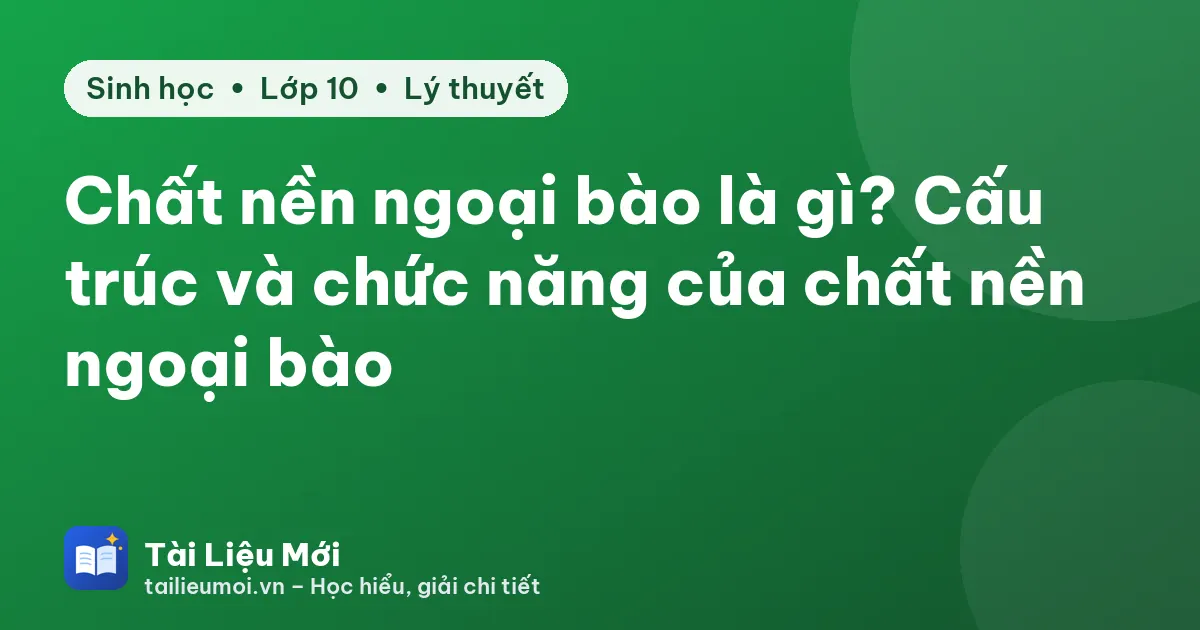 Chất nền ngoại bào là gì? Cấu trúc và chức năng của chất nền ngoại bào